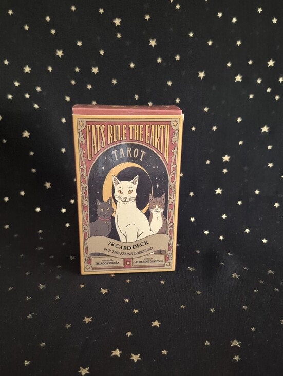 Accessories - NWT Cats Rule the Earth Tarot Deck